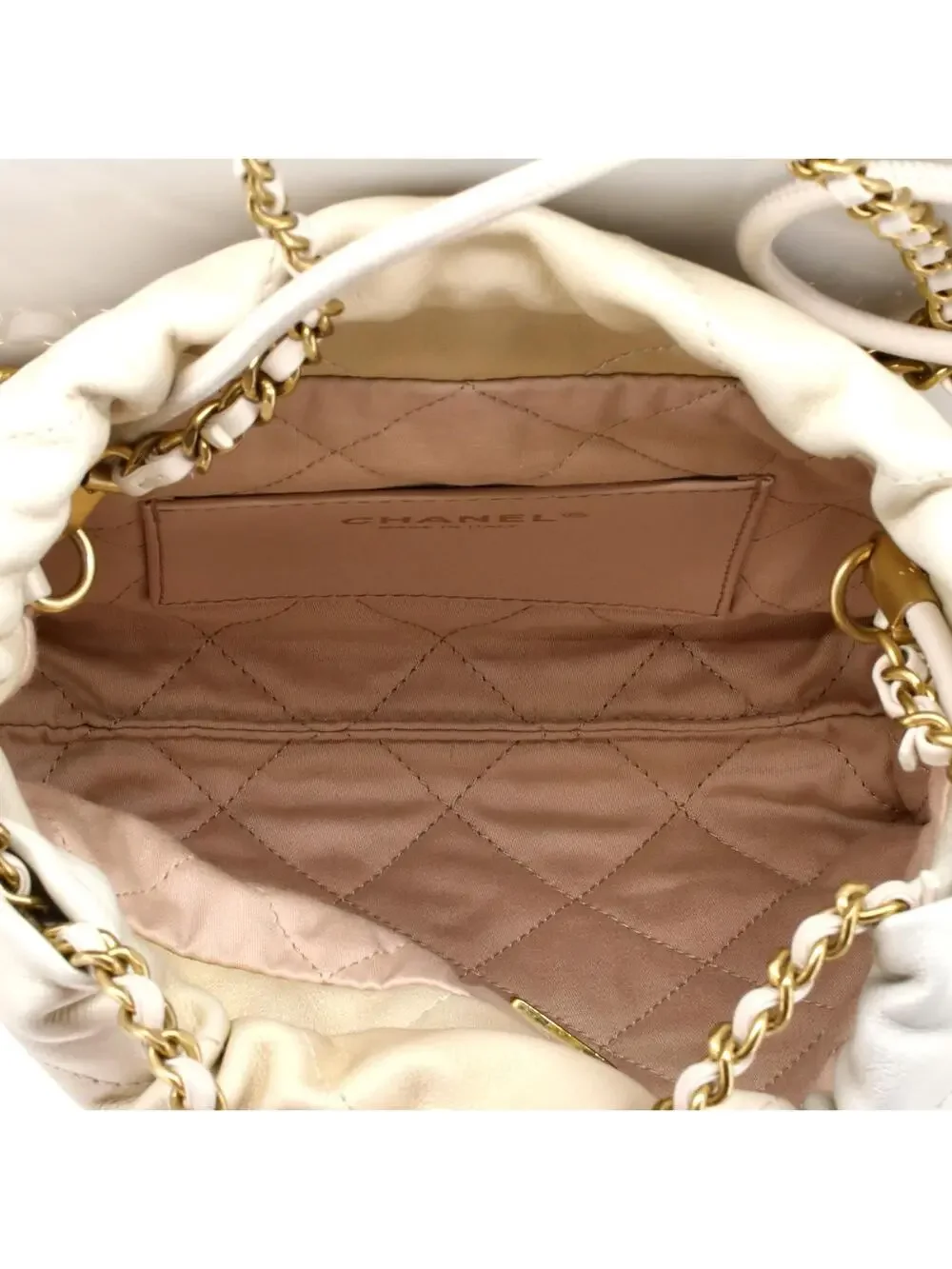 Chanel 22 Chain Hobo Quilted Shaded #315237C48B